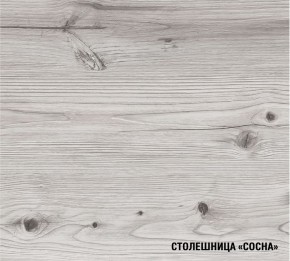АСАЯ Кухонный гарнитур Экстра 2 (3000 мм) ПМ в Озерске - ozersk.ok-mebel.com | фото 8