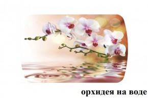 БОСТОН - 2 опоры Брифинг в Озерске - ozersk.ok-mebel.com | фото 4