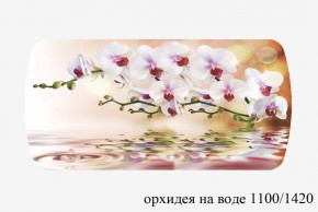 БОСТОН - 3 Стол раздвижной 1100/1420 опоры Брифинг в Озерске - ozersk.ok-mebel.com | фото 66