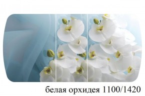 БОСТОН - 3 Стол раздвижной 1100/1420 опоры Триумф в Озерске - ozersk.ok-mebel.com | фото 9