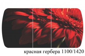 БОСТОН - 3 Стол раздвижной 1100/1420 опоры Триумф в Озерске - ozersk.ok-mebel.com | фото 19