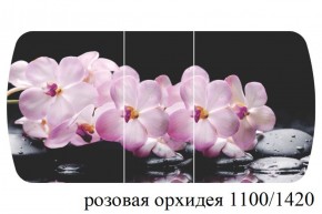 БОСТОН - 3 Стол раздвижной 1100/1420 опоры Триумф в Озерске - ozersk.ok-mebel.com | фото 34