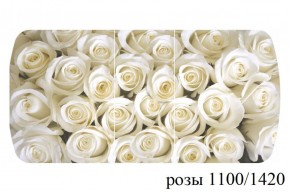 БОСТОН - 3 Стол раздвижной 1100/1420 опоры Триумф в Озерске - ozersk.ok-mebel.com | фото 37