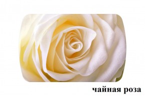 БОСТОН - 3 Стол раздвижной 1100/1420 опоры Триумф в Озерске - ozersk.ok-mebel.com | фото 47