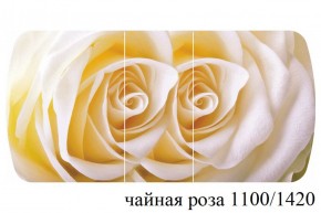 БОСТОН - 3 Стол раздвижной 1100/1420 опоры Триумф в Озерске - ozersk.ok-mebel.com | фото 48