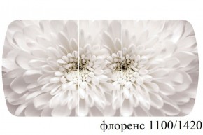 БОСТОН - 3 Стол раздвижной 1100/1420 опоры Триумф в Озерске - ozersk.ok-mebel.com | фото 66
