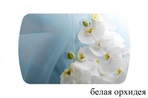 БОСТОН - 3 Стол раздвижной 1100/1420 опоры Триумф в Озерске - ozersk.ok-mebel.com | фото 8