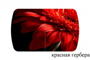 БОСТОН опоры Триумф в Озерске - ozersk.ok-mebel.com | фото 27