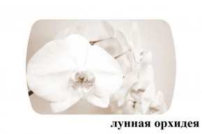 БОСТОН опоры Триумф в Озерске - ozersk.ok-mebel.com | фото 33