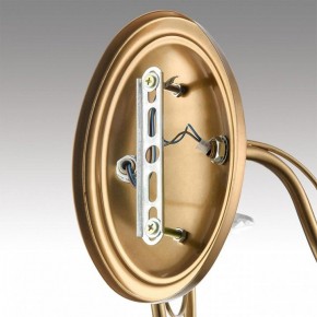 Бра Lumion INCANTO 8033/2W в Озерске - ozersk.ok-mebel.com | фото 8
