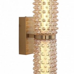 Бра ST-Luce SAGUARO SL6144.301.01 в Озерске - ozersk.ok-mebel.com | фото 6