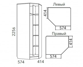 Детская Фанк Шкаф угловой Левый/Правый НМ 013.04-02 М в Озерске - ozersk.ok-mebel.com | фото 3