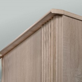 ДИАНА Д11 Шкаф для одежды в Озерске - ozersk.ok-mebel.com | фото 6