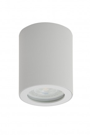 DK3007-WH Накладной светильник влагозащ., IP 44, 15 Вт, GU10, белый, алюминий в Озерске - ozersk.ok-mebel.com | фото