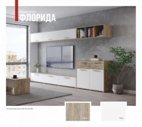 ФЛОРИДА Гостиная (модульная) дуб серый/белый в Озерске - ozersk.ok-mebel.com | фото