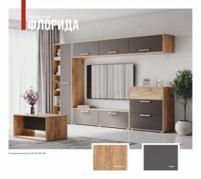 ФЛОРИДА Гостиная (модульная) дуб золотой/графит в Озерске - ozersk.ok-mebel.com | фото