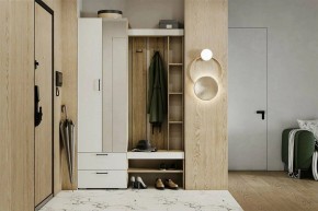 Гарнитур для прихожей Торонто в Озерске - ozersk.ok-mebel.com | фото 5