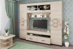 Гостиная Камелия Композиция 10 (Ясень Асахи) в Озерске - ozersk.ok-mebel.com | фото