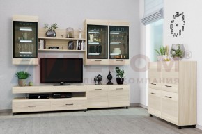 Гостиная Камелия Композиция 8 (Ясень Асахи) в Озерске - ozersk.ok-mebel.com | фото