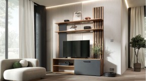 КАРОЛИНА Гостиная (дуб вотан/графит) в Озерске - ozersk.ok-mebel.com | фото