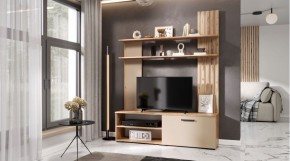 КАРОЛИНА Гостиная (дуб вотан/кашемир) в Озерске - ozersk.ok-mebel.com | фото