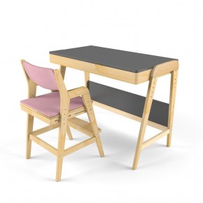 Комплект растущий стол и стул с чехлом 38 попугаев «Вуди» (Серый, Береза, Розовый) в Озерске - ozersk.ok-mebel.com | фото
