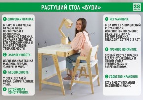 Комплект растущий стол и стул с чехлом 38 попугаев «Вуди» (Серый, Береза, Салют) в Озерске - ozersk.ok-mebel.com | фото