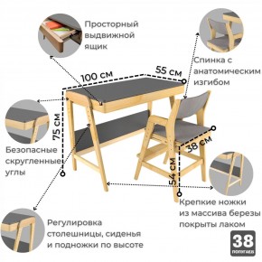Комплект растущий стол и стул с чехлом 38 попугаев «Вуди» (Серый, Береза, Серый) в Озерске - ozersk.ok-mebel.com | фото