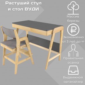 Комплект растущий стол и стул с чехлом 38 попугаев «Вуди» (Серый, Без покрытия, Серый) в Озерске - ozersk.ok-mebel.com | фото