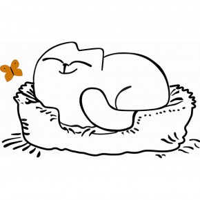 Кровать двухуровневая Кот № 900.1 ЛЕВАЯ (туя светлая/белый) в Озерске - ozersk.ok-mebel.com | фото 2