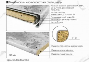 Кухонный фартук со столешницей (А-01) в едином стиле (3050 мм) в Озерске - ozersk.ok-mebel.com | фото 6