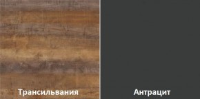 Кухонный гарнитур угловой Трансильвания 2400x1600 мм (Стол. 38 мм) Антрацит/Трансильвания в Озерске - ozersk.ok-mebel.com | фото 3