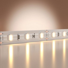 Лента светодиодная Maytoni Base 201162 в Озерске - ozersk.ok-mebel.com | фото