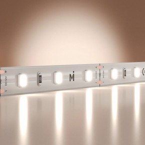 Лента светодиодная Maytoni Base 201164 в Озерске - ozersk.ok-mebel.com | фото