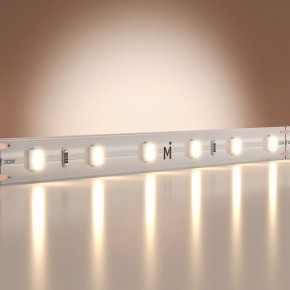 Лента светодиодная Maytoni Base 201166 в Озерске - ozersk.ok-mebel.com | фото