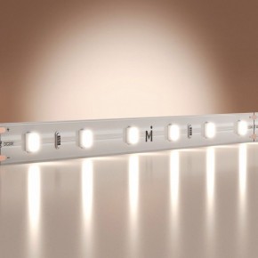 Лента светодиодная Maytoni Base 201167 в Озерске - ozersk.ok-mebel.com | фото