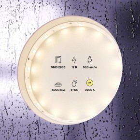 Лента светодиодная Maytoni Led strip 10105 в Озерске - ozersk.ok-mebel.com | фото 2
