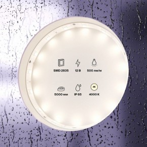 Лента светодиодная Maytoni Led strip 10106 в Озерске - ozersk.ok-mebel.com | фото 2