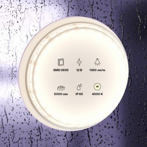 Лента светодиодная Maytoni Led strip 10118 в Озерске - ozersk.ok-mebel.com | фото 2