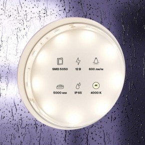 Лента светодиодная Maytoni Led strip 10124 в Озерске - ozersk.ok-mebel.com | фото 2