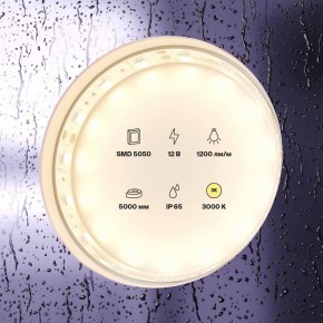 Лента светодиодная Maytoni Led strip 10131 в Озерске - ozersk.ok-mebel.com | фото 2