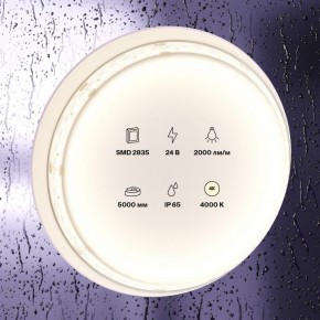 Лента светодиодная Maytoni Led strip 10158 в Озерске - ozersk.ok-mebel.com | фото 2