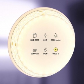 Лента светодиодная Maytoni Led strip 20031 в Озерске - ozersk.ok-mebel.com | фото 2