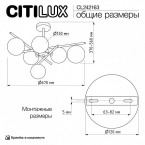Люстра на штанге Citilux RONNY CL242163 в Озерске - ozersk.ok-mebel.com | фото 12