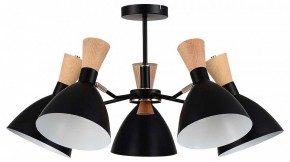 Люстра на штанге EVOLUCE VISTA SLE1256-402-05 в Озерске - ozersk.ok-mebel.com | фото