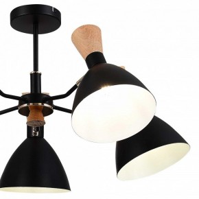 Люстра на штанге EVOLUCE VISTA SLE1256-402-05 в Озерске - ozersk.ok-mebel.com | фото 10
