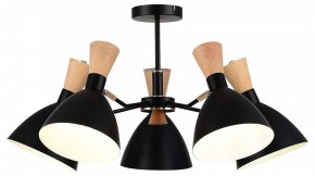 Люстра на штанге EVOLUCE VISTA SLE1256-402-05 в Озерске - ozersk.ok-mebel.com | фото 2