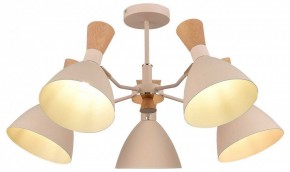 Люстра на штанге EVOLUCE VISTA SLE1256-502-05 в Озерске - ozersk.ok-mebel.com | фото 6