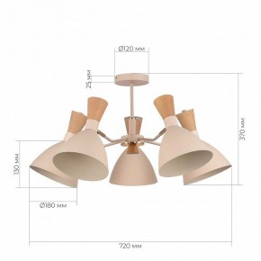 Люстра на штанге EVOLUCE VISTA SLE1256-502-05 в Озерске - ozersk.ok-mebel.com | фото 8