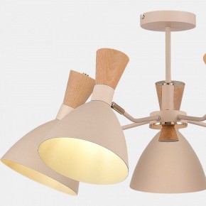 Люстра на штанге EVOLUCE VISTA SLE1256-502-05 в Озерске - ozersk.ok-mebel.com | фото 9